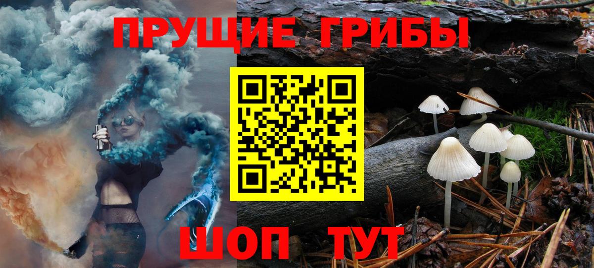 Галлюциногенные грибы прущие грибы  Галлюциногенные грибы GOLDEN TEACHER  Уссурийск  Вход с VPN 